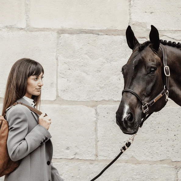 Helmet Bag Kentucky Chestnut 6 Helmet Bag Kentucky Chestnut - Image 5