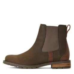 Equestrian Equipment Store -Equestrian Equipment Store Short boots Ariat Wexford H2O Java 12347 2