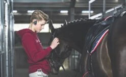 Whis Instruction Set - Original -Equestrian Equipment Store Whis original